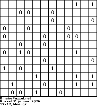 Binaire Puzzel