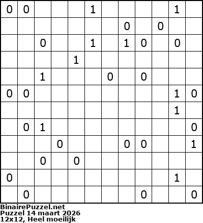 Binaire Puzzel