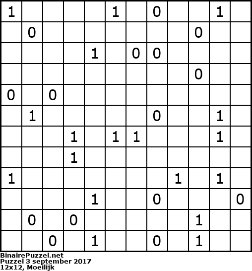 Binaire Puzzel