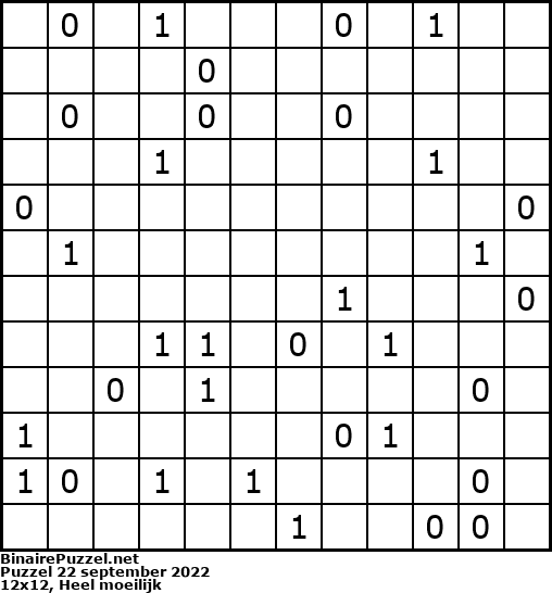 Binaire Puzzel
