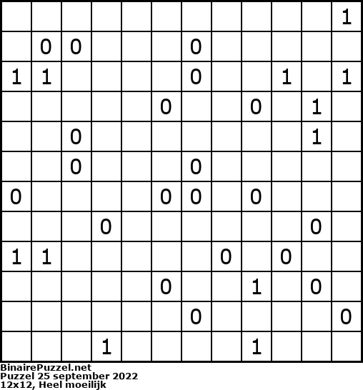 Binaire Puzzel