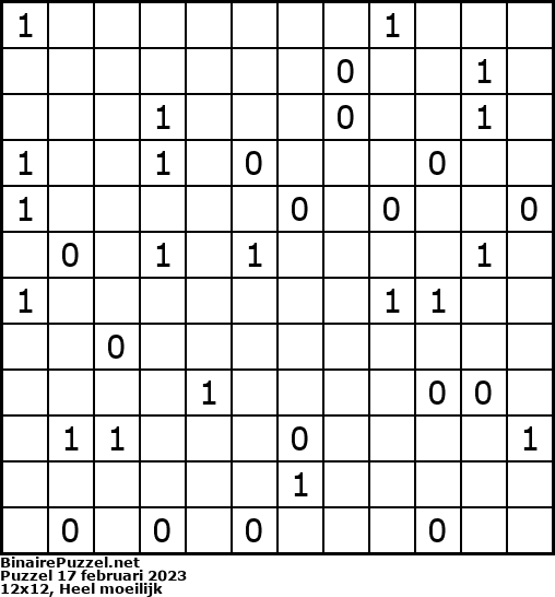 Binaire Puzzel