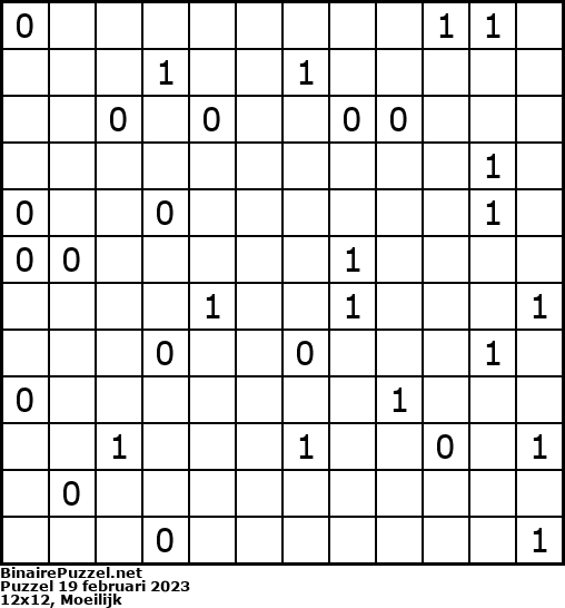 Binaire Puzzel