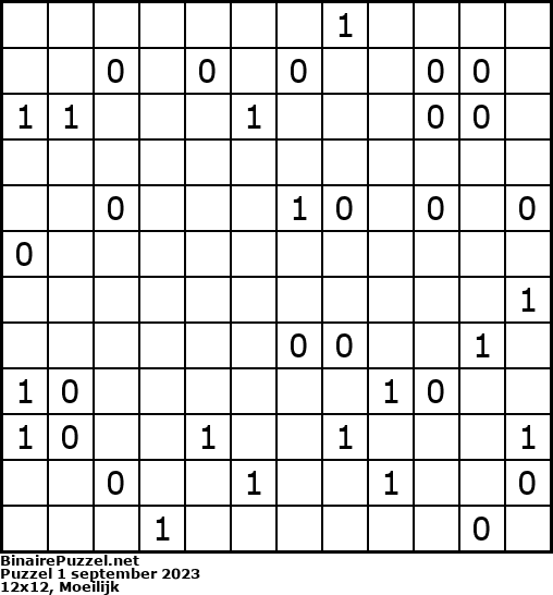 Binaire Puzzel