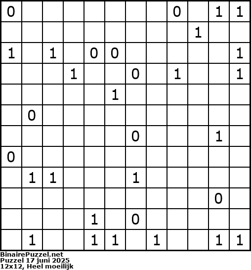 Binaire Puzzel