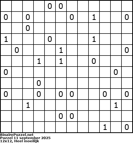 Binaire Puzzel