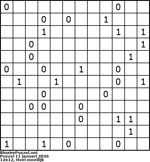 Binaire Puzzel