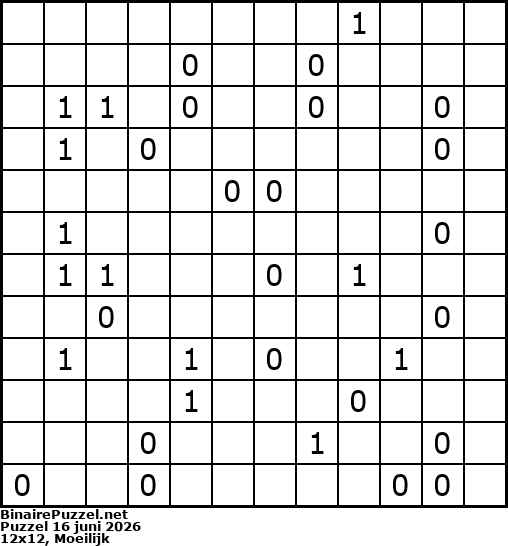 Binaire Puzzel