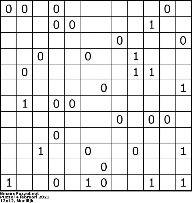 Binaire Puzzel