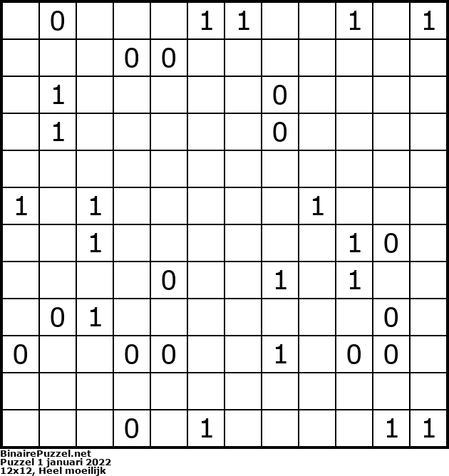 Binaire Puzzel