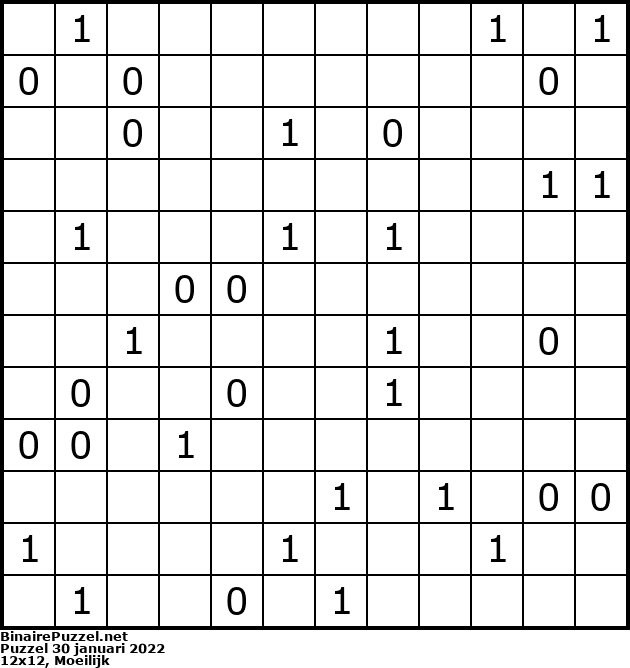 Binaire Puzzel
