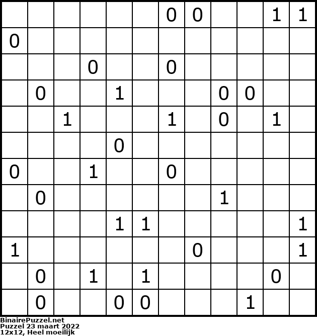 Binaire Puzzel