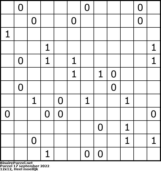 Binaire Puzzel