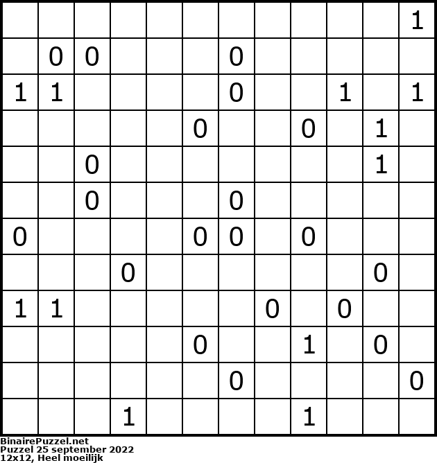 Binaire Puzzel