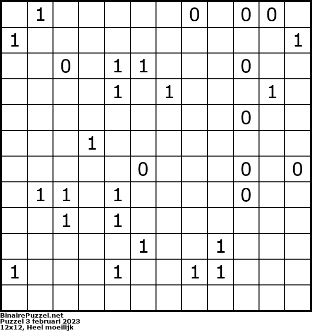 Binaire Puzzel