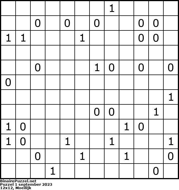 Binaire Puzzel