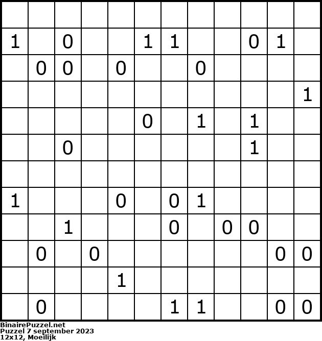 Binaire Puzzel