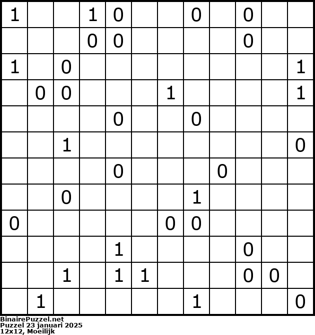 Binaire Puzzel