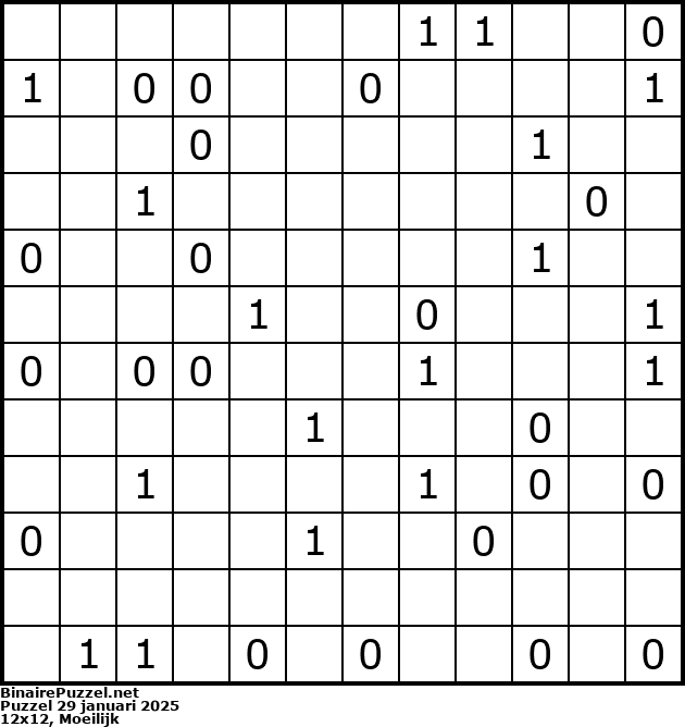 Binaire Puzzel