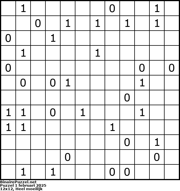 Binaire Puzzel