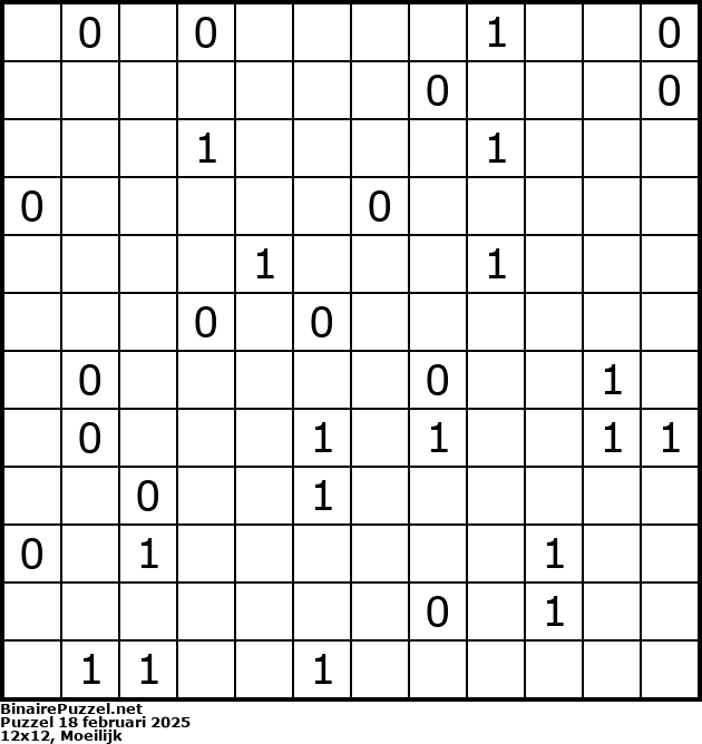Binaire Puzzel