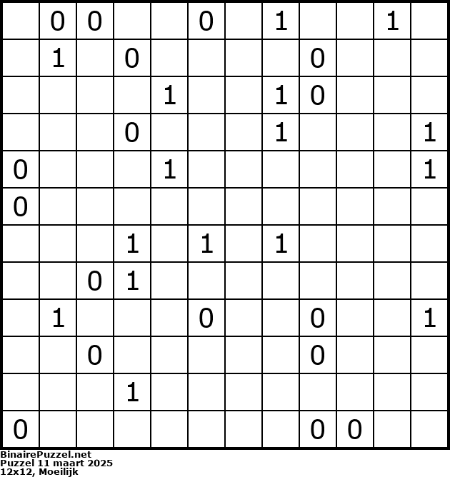Binaire Puzzel
