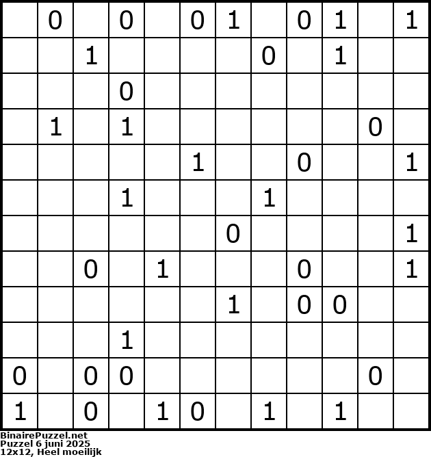Binaire Puzzel
