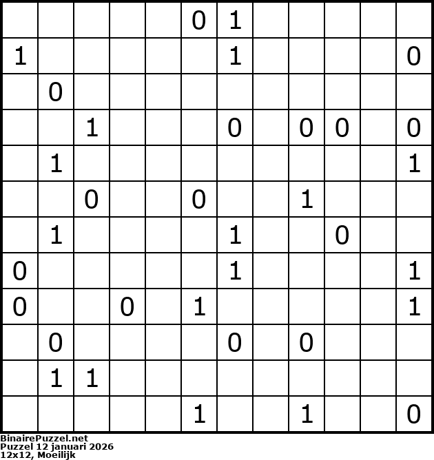 Binaire Puzzel