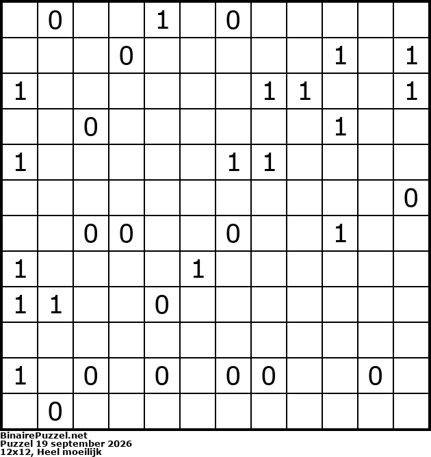 Binaire Puzzel