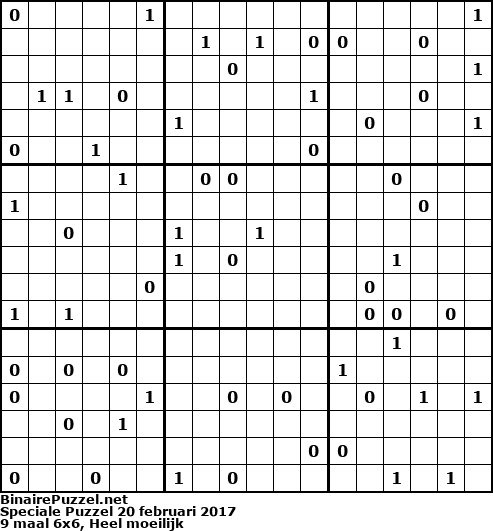 Binaire Puzzel