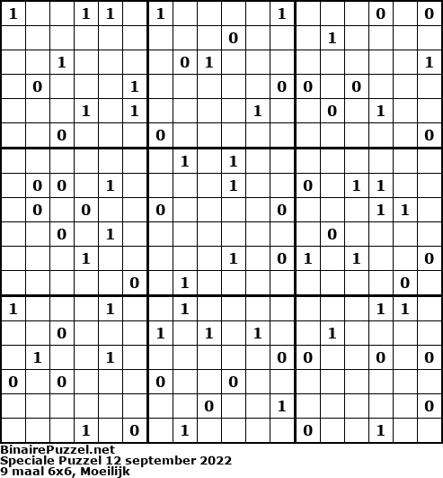 Binaire Puzzel