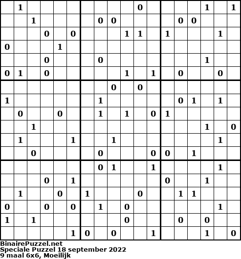 Binaire Puzzel
