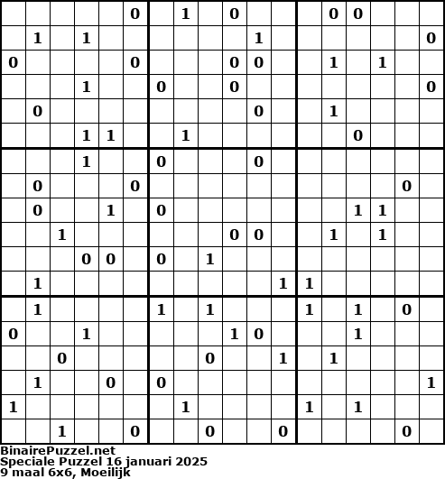 Binaire Puzzel
