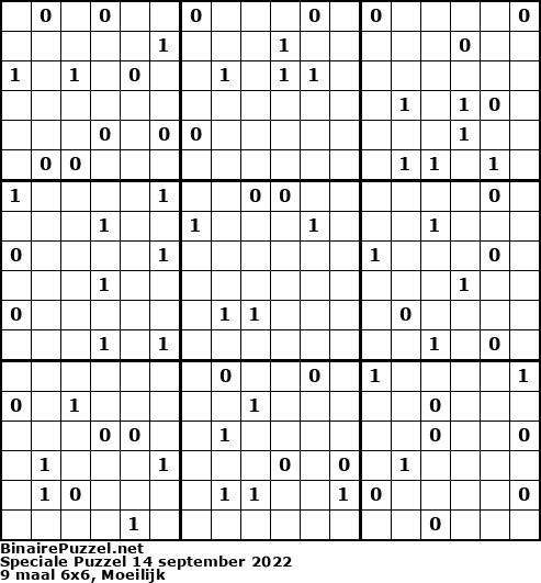 Binaire Puzzel