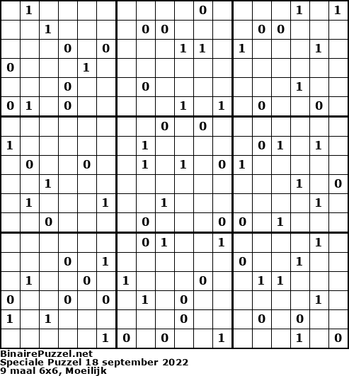 Binaire Puzzel