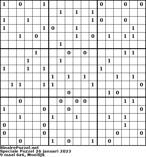 Binaire Puzzel
