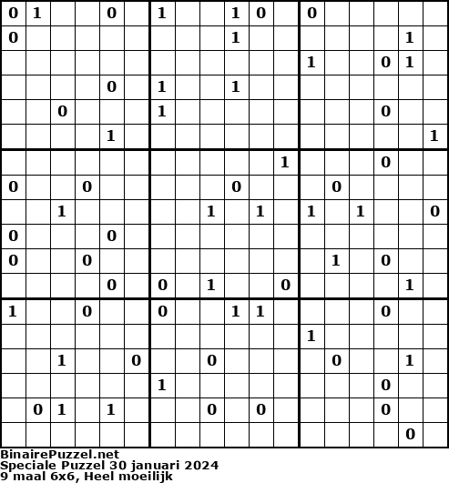 Binaire Puzzel