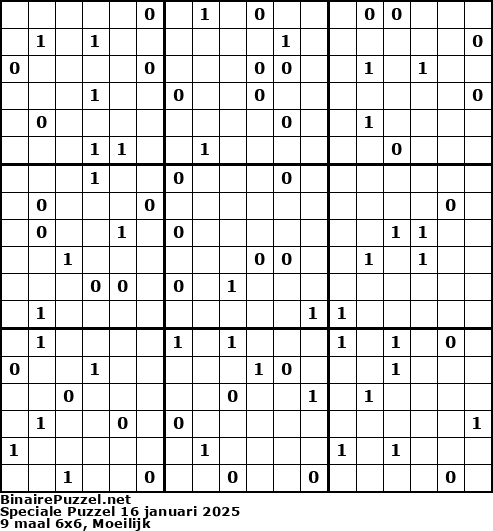 Binaire Puzzel