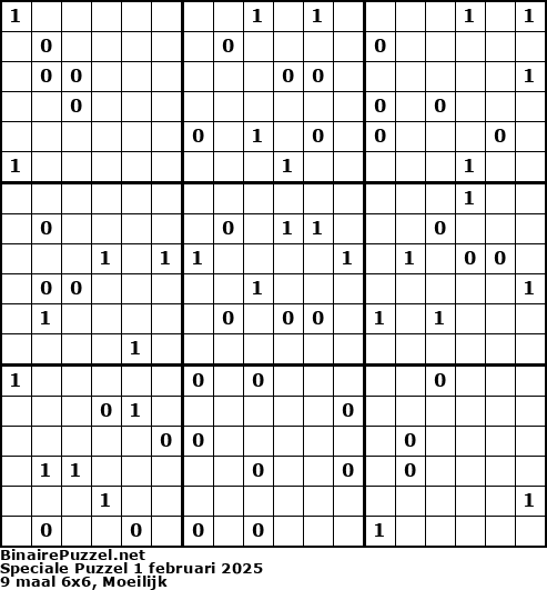 Binaire Puzzel
